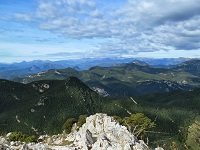 Marxa de la feixina 2014