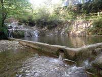 Marxa popular de sant jaume de llierca