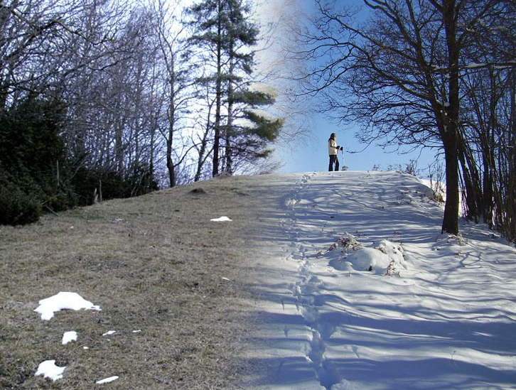 La neu a Coll de Canes